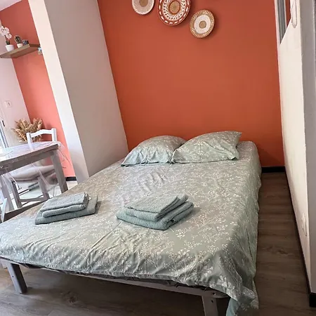 公寓 Cosy Au Mole 阿格德