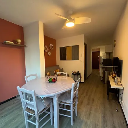 Cosy Au Mole 公寓 阿格德