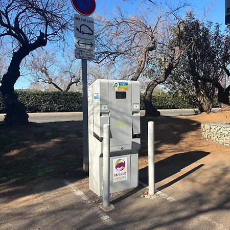 公寓 Cosy Au Mole 阿格德