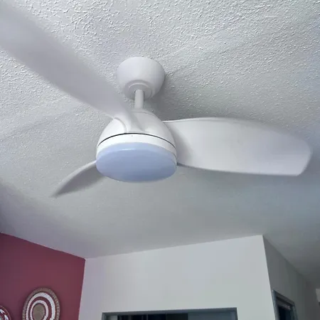 公寓 Cosy Au Mole *